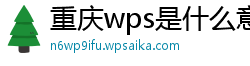 重庆wps是什么意思在路由器上